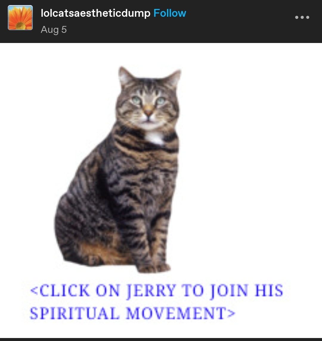 Tumblr post by user lolcatsaestheticdump showing a picture of a cat on a white background The cat's fur pattern around his neck kind of looks like a priestly collar. Caption beneath the cat: Click on Jerry to join his spiritual movement